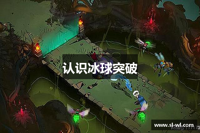 认识冰球突破